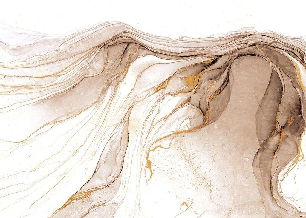 Фотообои в интерьере флюид арт сепия   14-708 фото