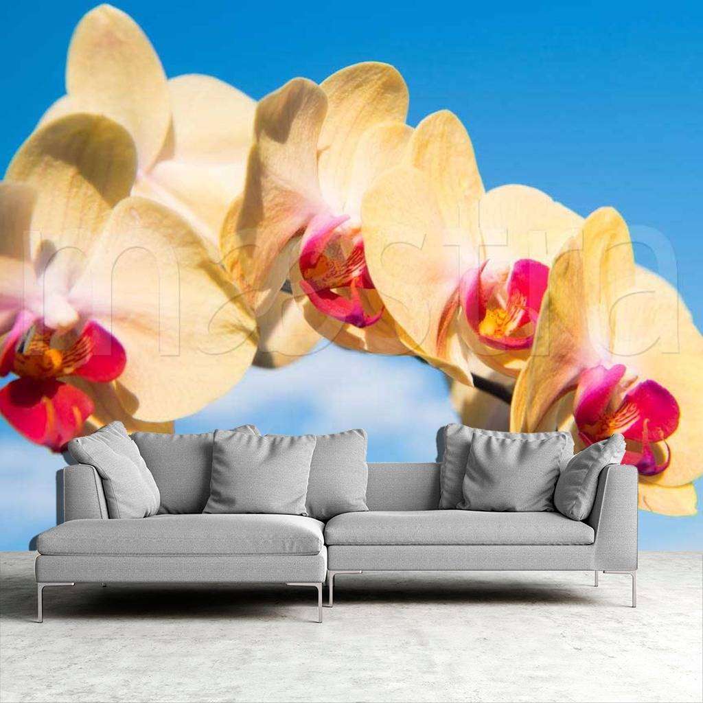 Фотообои в интерьере желтая орхидея на фоне неба  10-178 фото