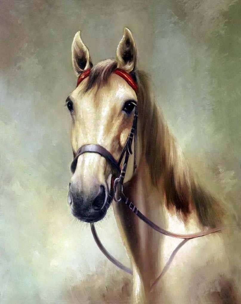 Фотообои в интерьере этюд головы лошади  17-4393 фото