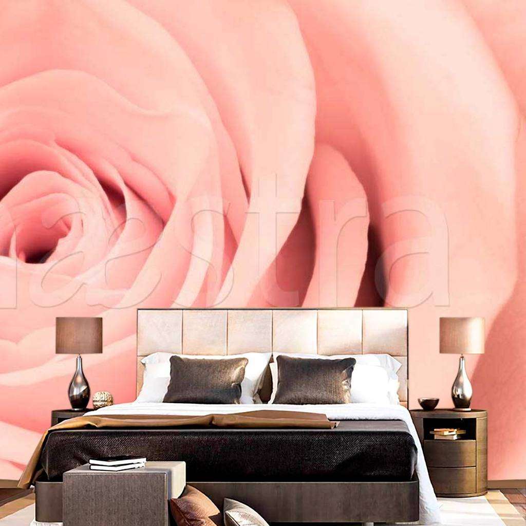 Фотообои Розовая роза элегантная  10-258