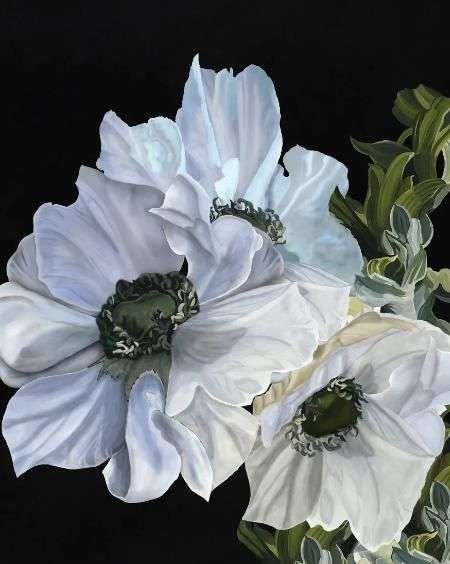 Фотообои в интерьере анемоны на темном фоне  14-790 фото