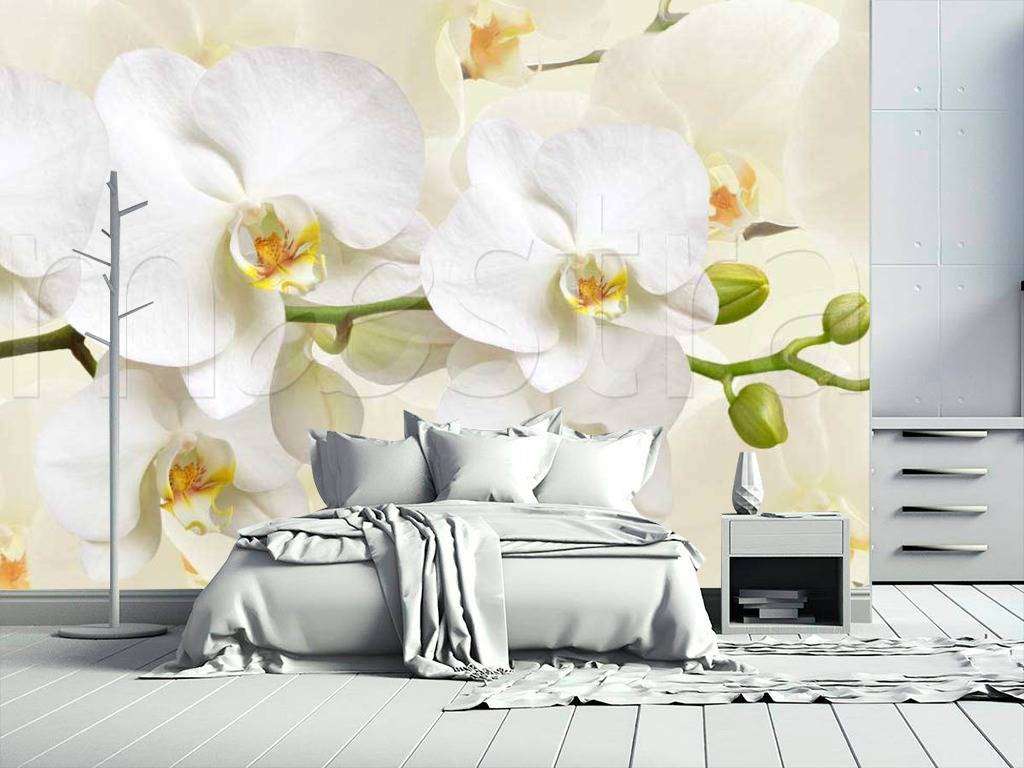 Фотообои в интерьере белая орхидея пленительная  10-162 фото
