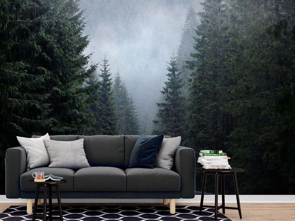 Фотообои в интерьере ущелье в сосновом лесу  9-1934 фото