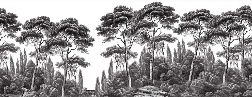 Фотообои в интерьере кипарис в технике гризайль  9-1673 фото