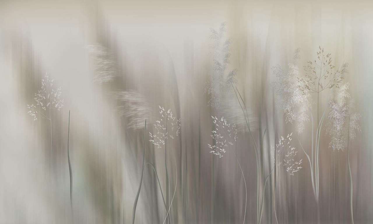 Фотообои в интерьере пампасная трава  13-514 фото