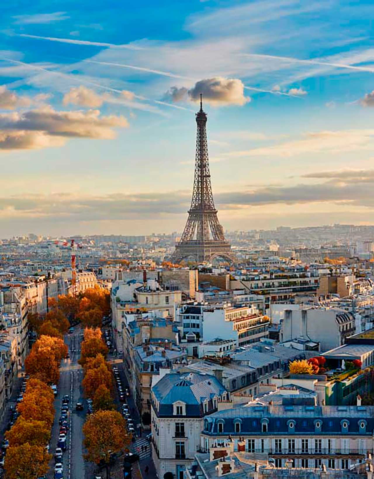 Фотообои в интерьере башня париж днём  9-722 фото