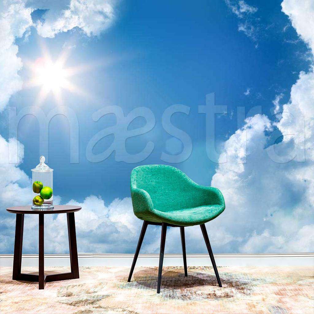 Фотообои Лучи яркого солнца на нек  9-325