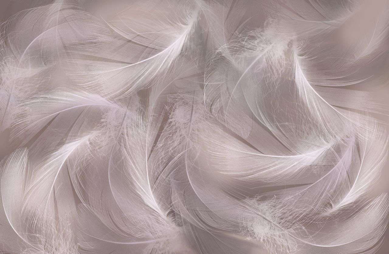 Фотообои в интерьере перья в полете  13-499 фото