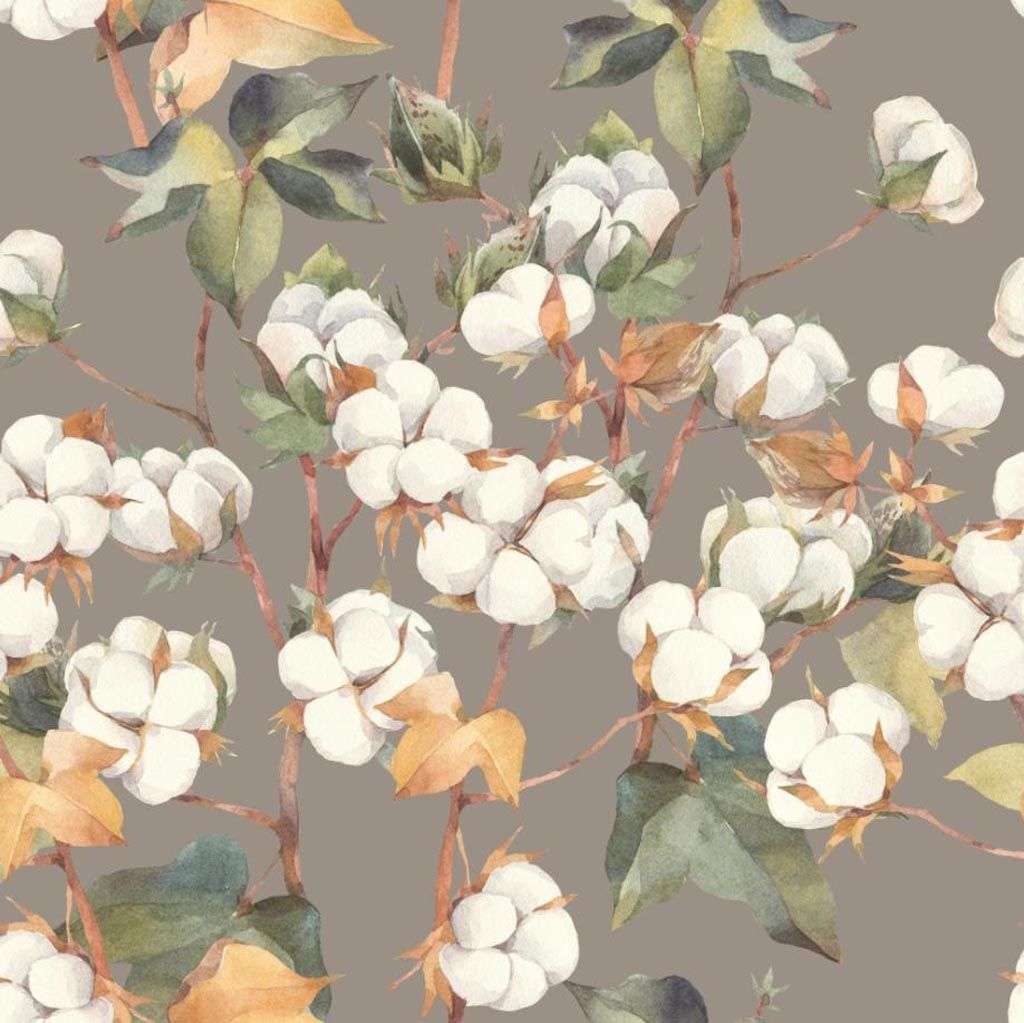 Фотообои в интерьере цветок хлопка  9-1520 фото