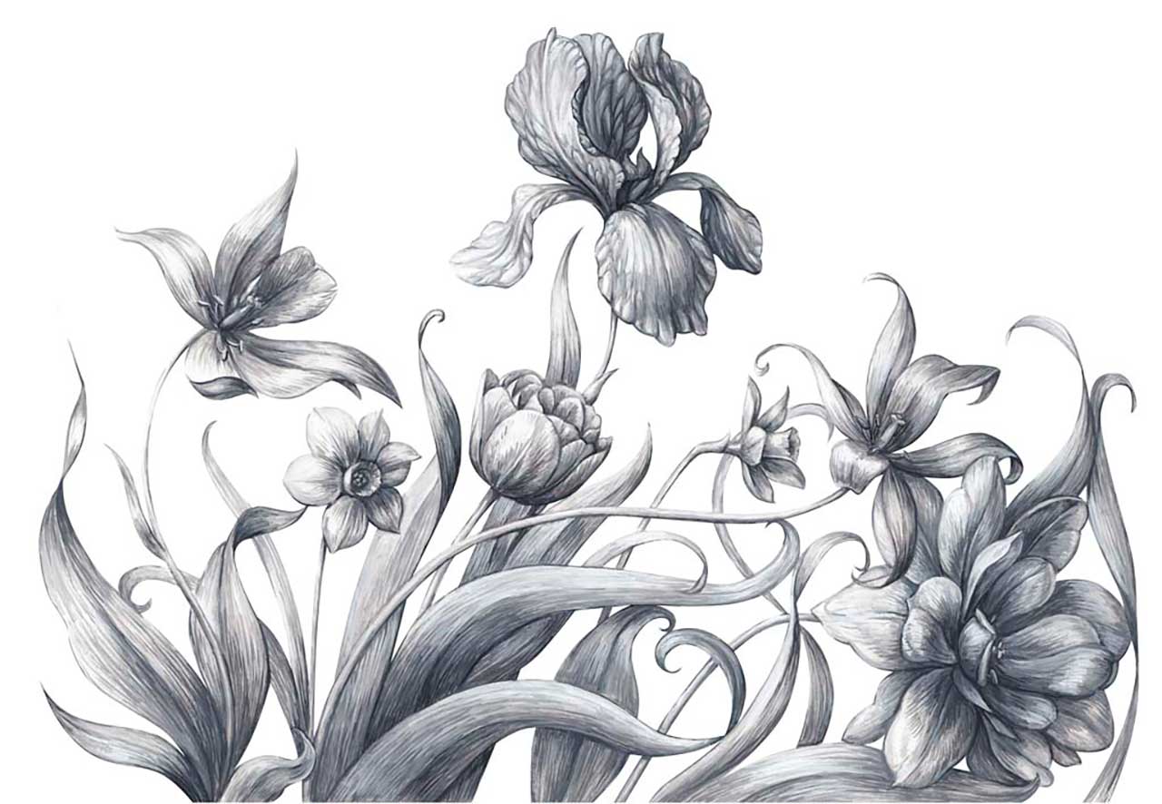 Фотообои в интерьере черно белые ирисы  9-124 фото