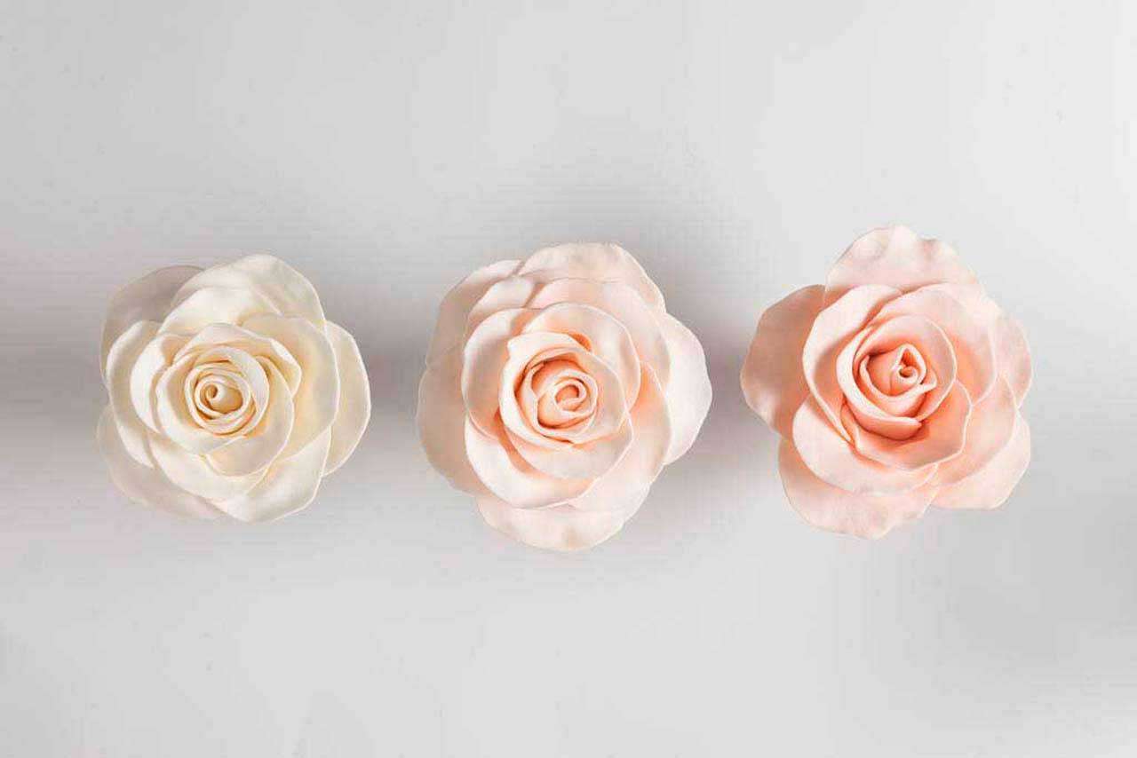 Фотообои в интерьере три розы  10-237 фото