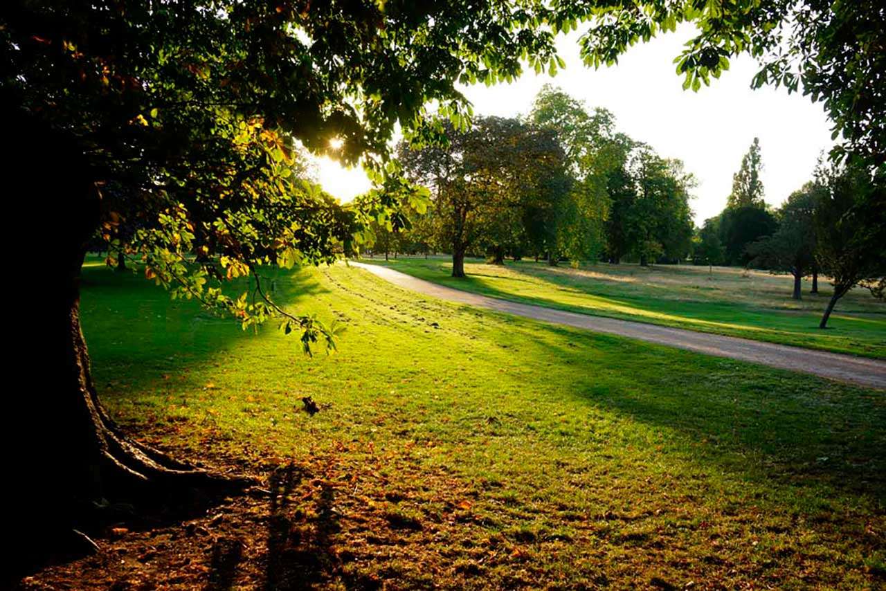 Фотообои в интерьере английский парк  9-585 фото