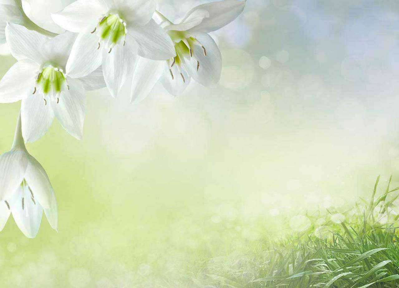 Фотообои в интерьере художественные лилии  10-361 фото