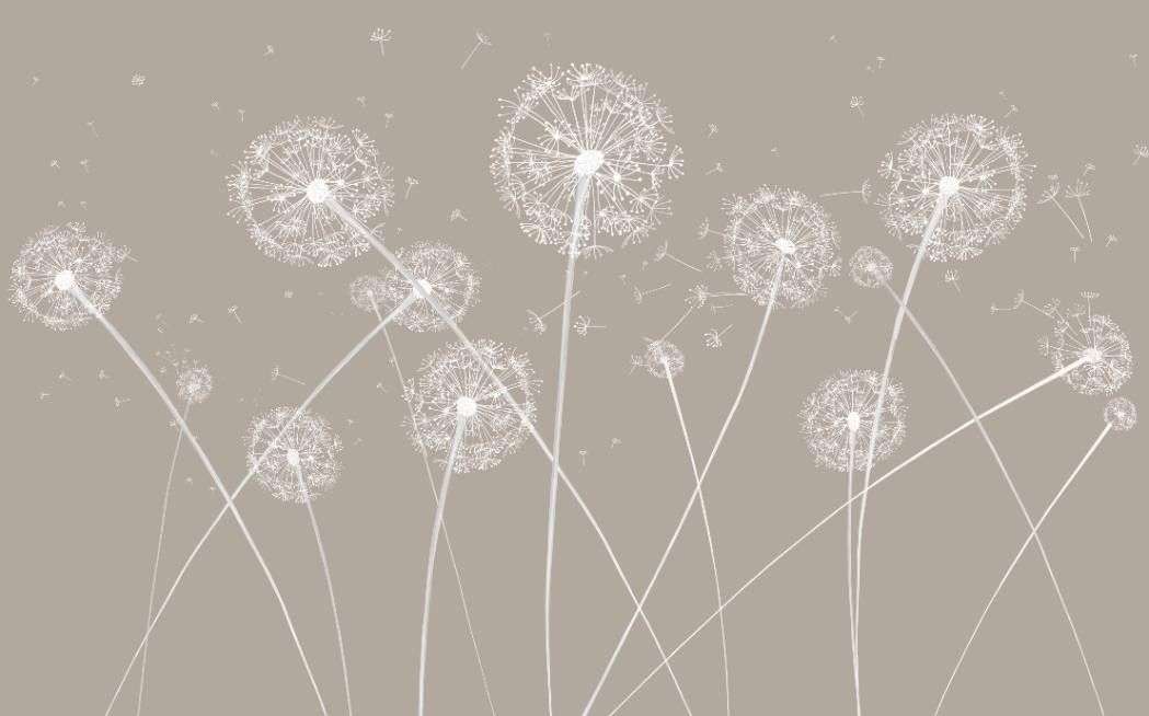 Фотообои в интерьере одуванчики на бежевом фоне  14-524 фото