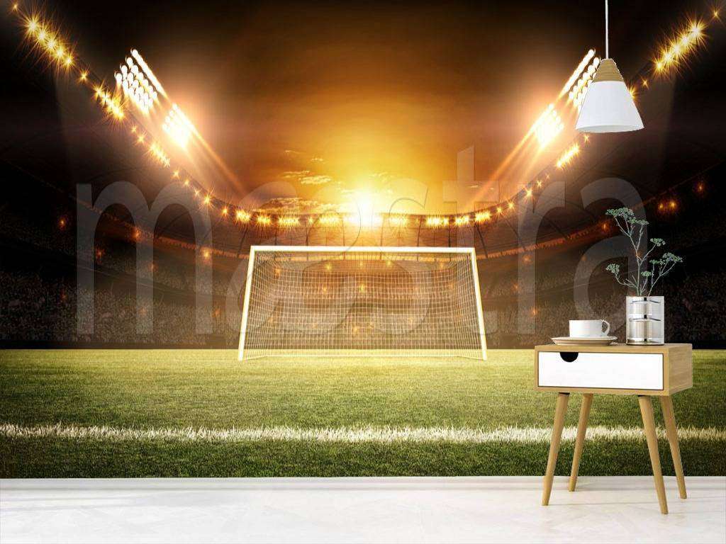 Фотообои в интерьере ворота на фоне стадиона  12-537 фото