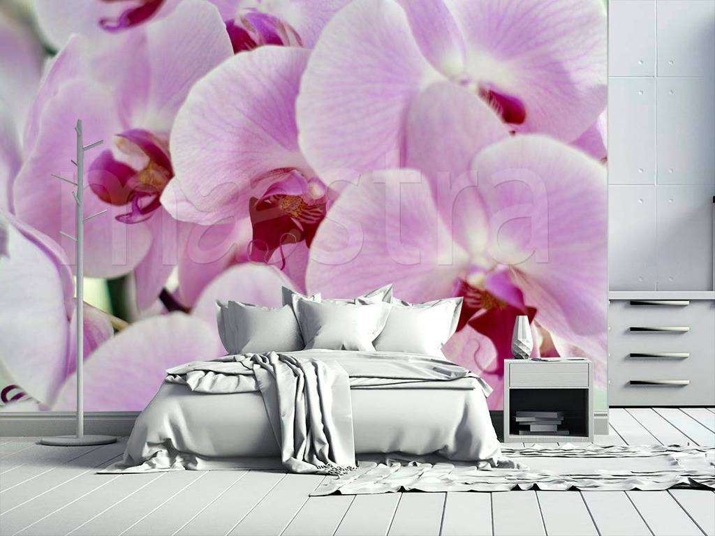 Фотообои в интерьере розовые орхидеи  9-079 фото