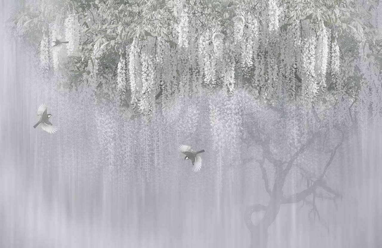 Фотообои в интерьере серое цветущее дерево  7-908 фото