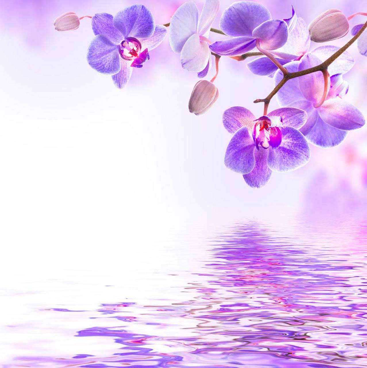 Фотообои в интерьере сиреневая орхидея над водой  10-215 фото