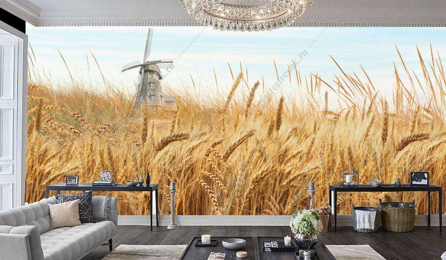 Фотообои в интерьере пшеничное поле  10-729 фото
