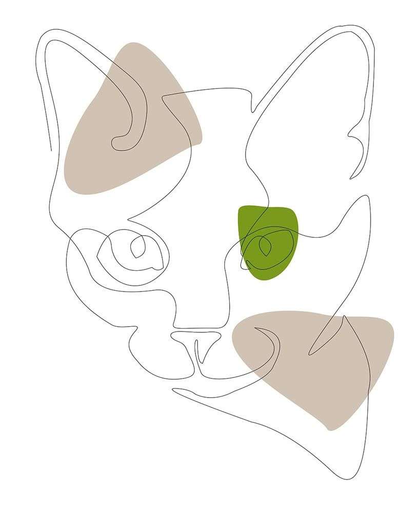 Фотообои в интерьере графика. кот  12-1485 фото