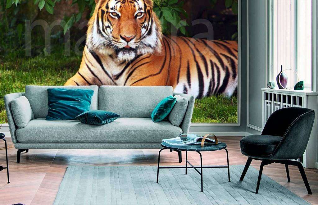 Фотообои Тигр на лужайке  4-163
