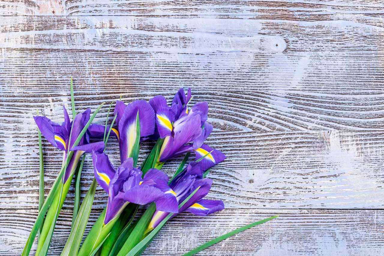 Фотообои в интерьере букет ирисов на деревянном столе  10-010 фото