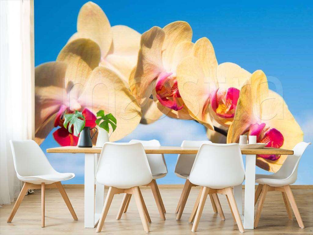Фотообои в интерьере желтая орхидея на фоне неба  10-178 фото