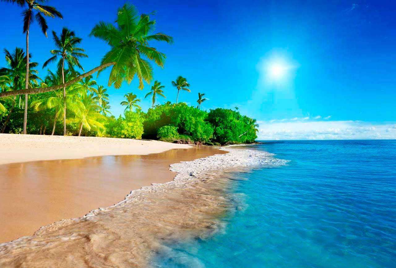 Фотообои в интерьере тропический пляж  4-346 фото