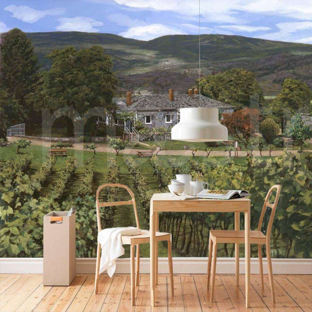 Фотообои Виноградник  8-117