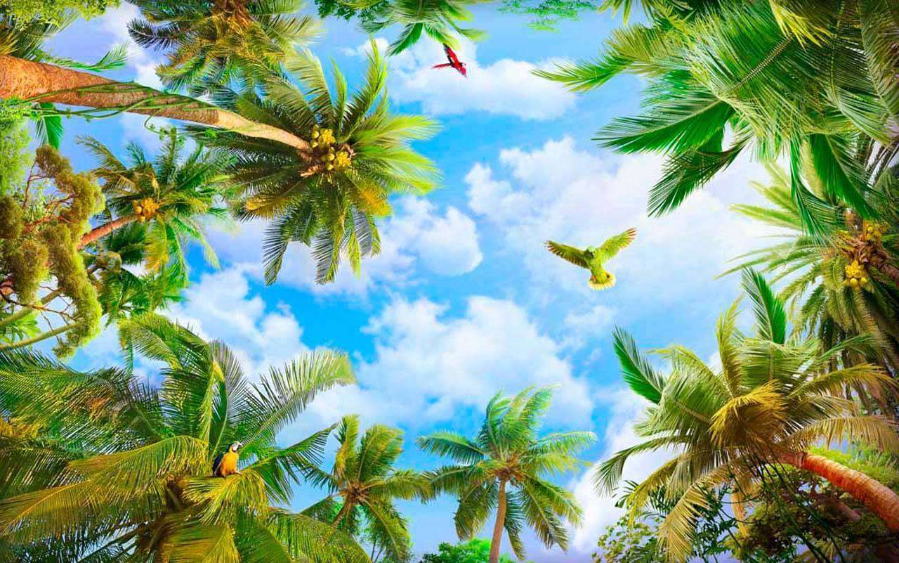 Фотообои в интерьере пальмы до небес  11-009 фото