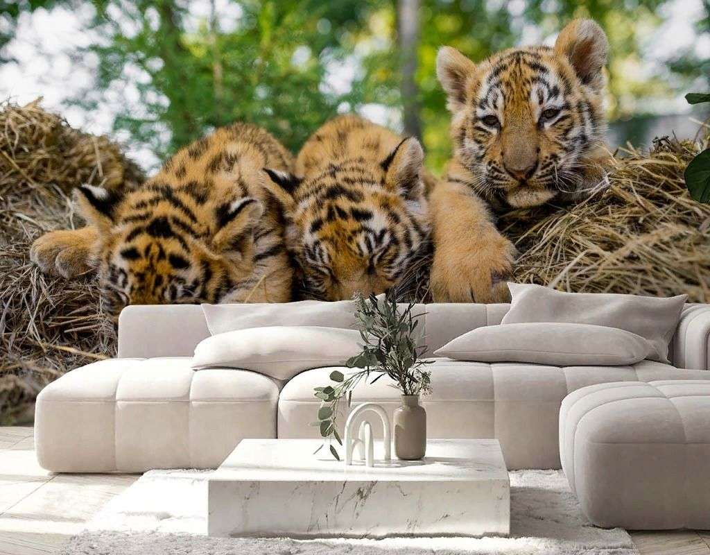 Фотообои в интерьере тигрята  9-2066 фото