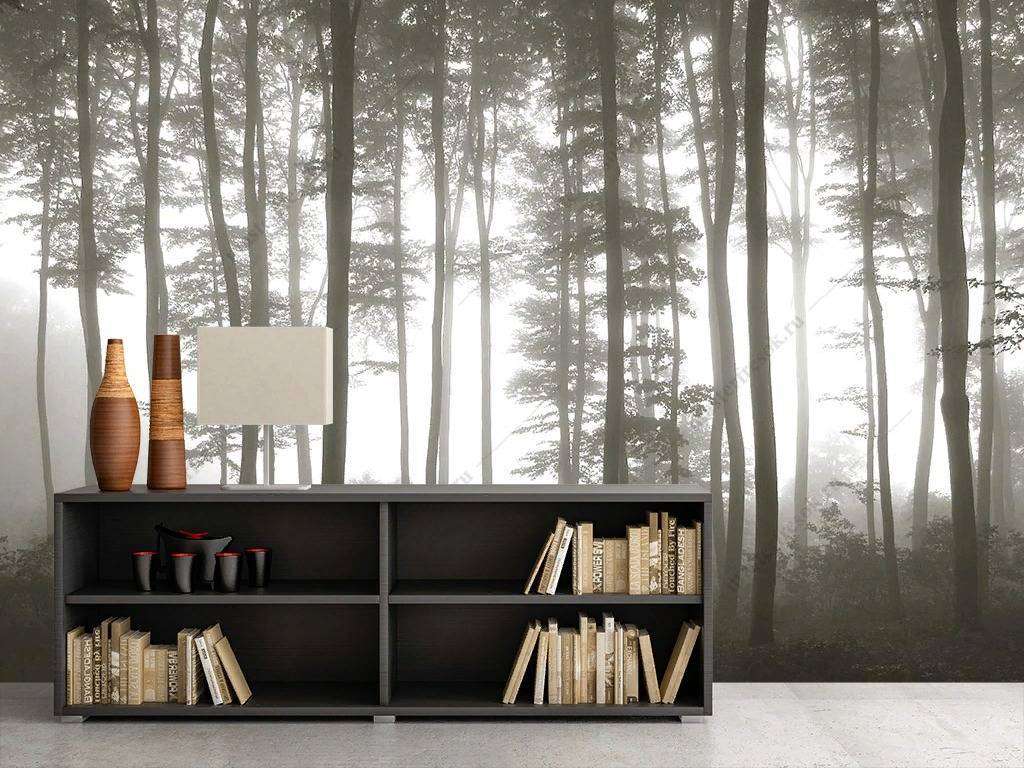 Фотообои в интерьере туманный лес  9-1133 фото