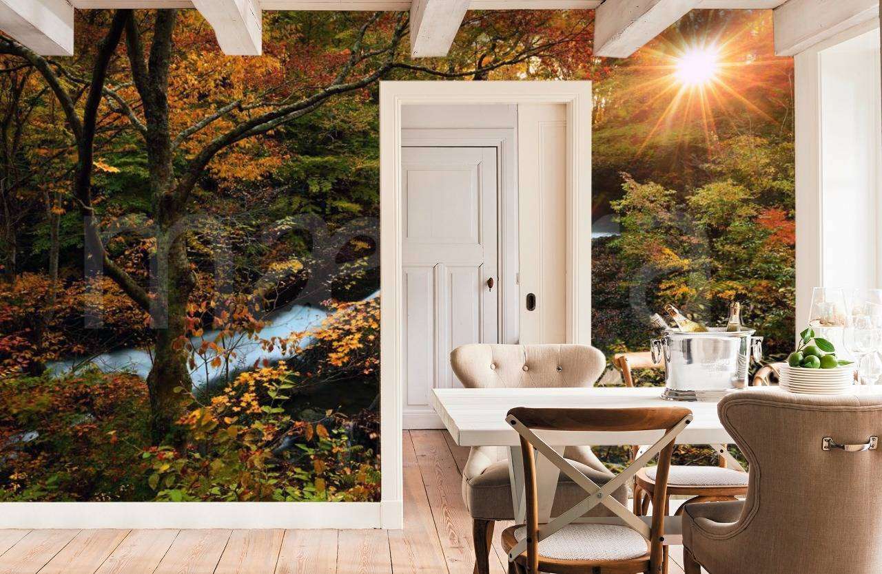 Фотообои в интерьере осенний водопад  4-369 фото