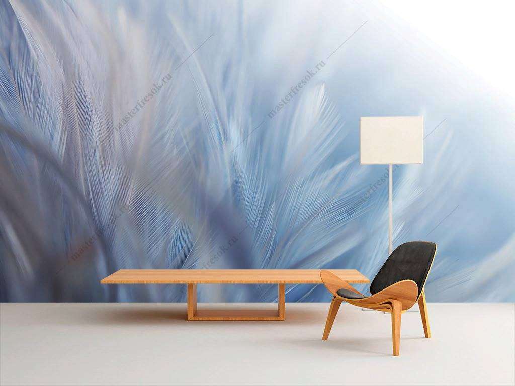 Фотообои в интерьере белый фон текстуры пера  9-1219 фото