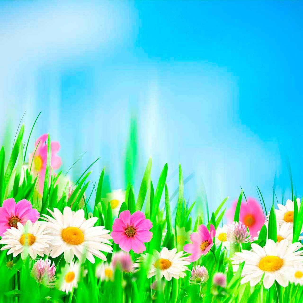 Фотообои в интерьере разноцветные полевые цветы  10-352 фото