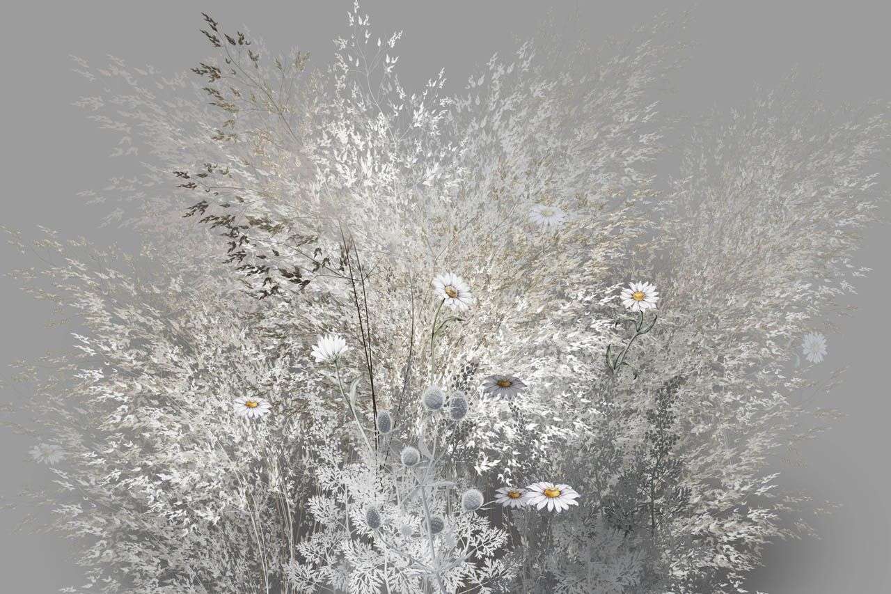 Фотообои в интерьере куст полевых цветов  13-686 фото