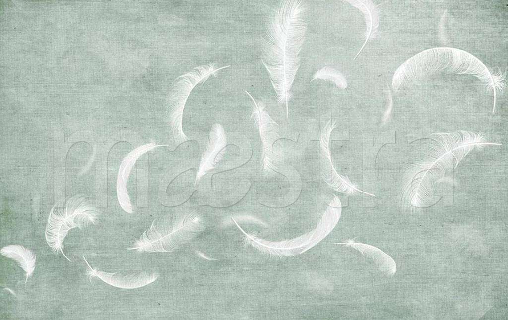 Фотообои в интерьере перья на нежном фоне  15-523 фото