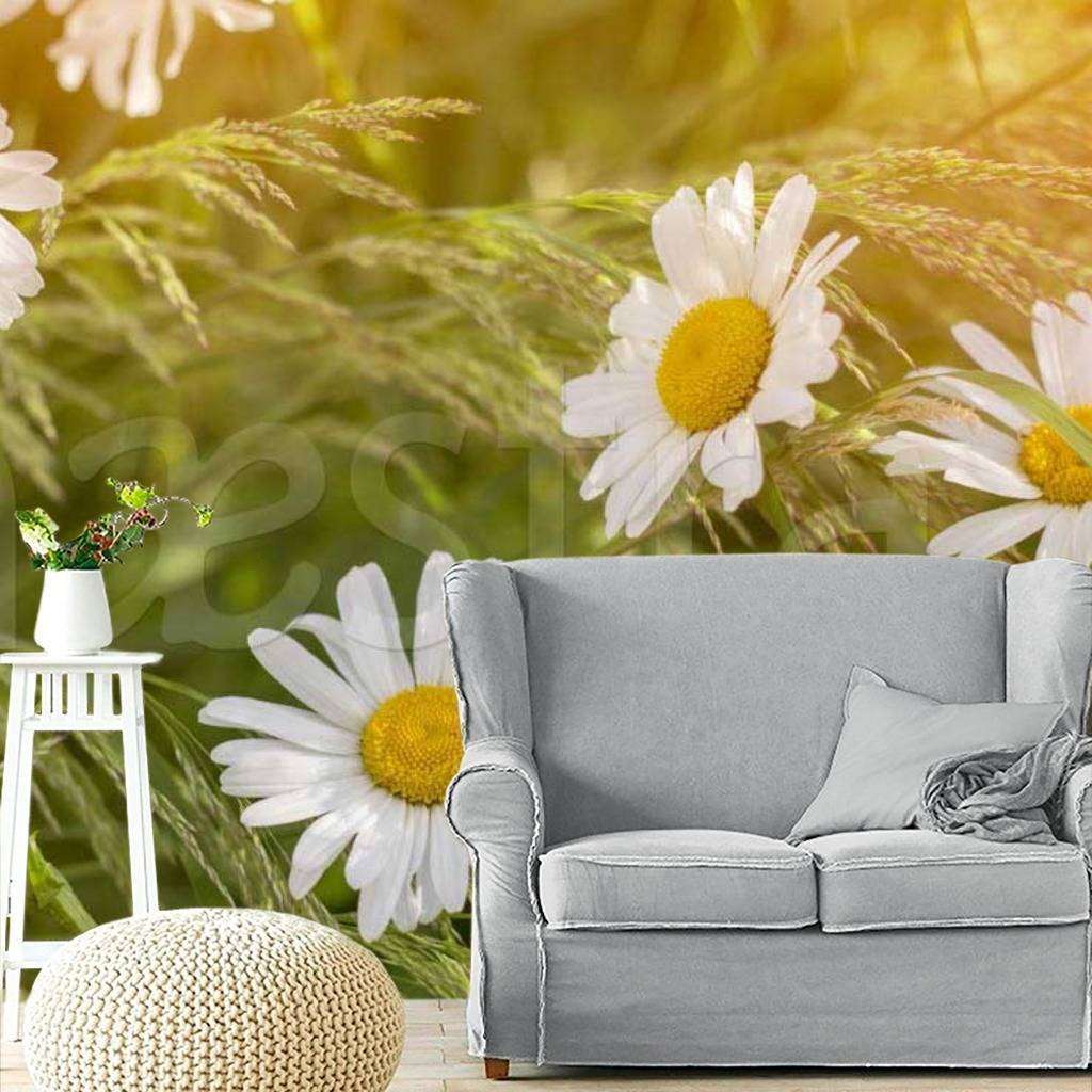 Фотообои Нежные ромашки  10-342