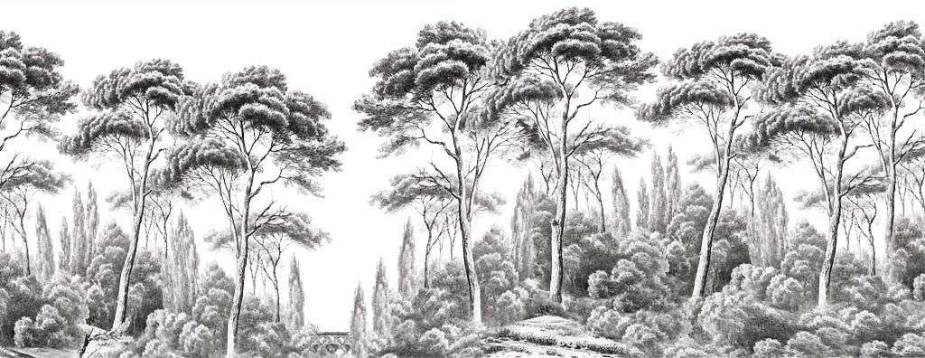 Фотообои в интерьере гризайль деревья  9-1674 фото