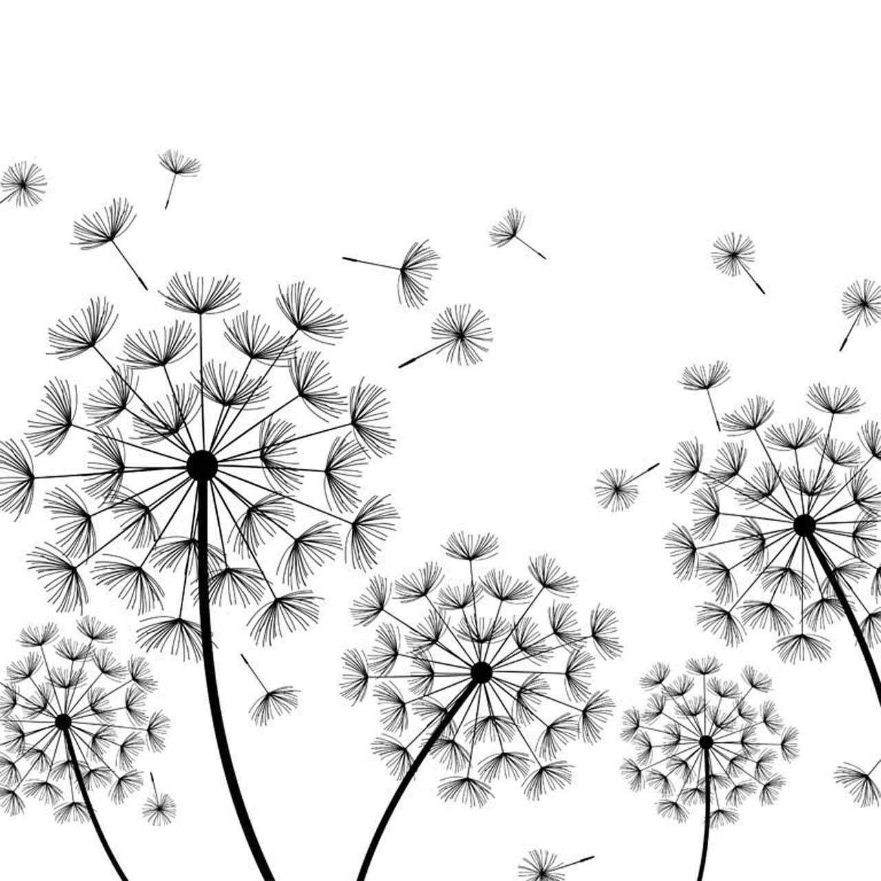 Фотообои в интерьере black and white dandelions  10-082 фото