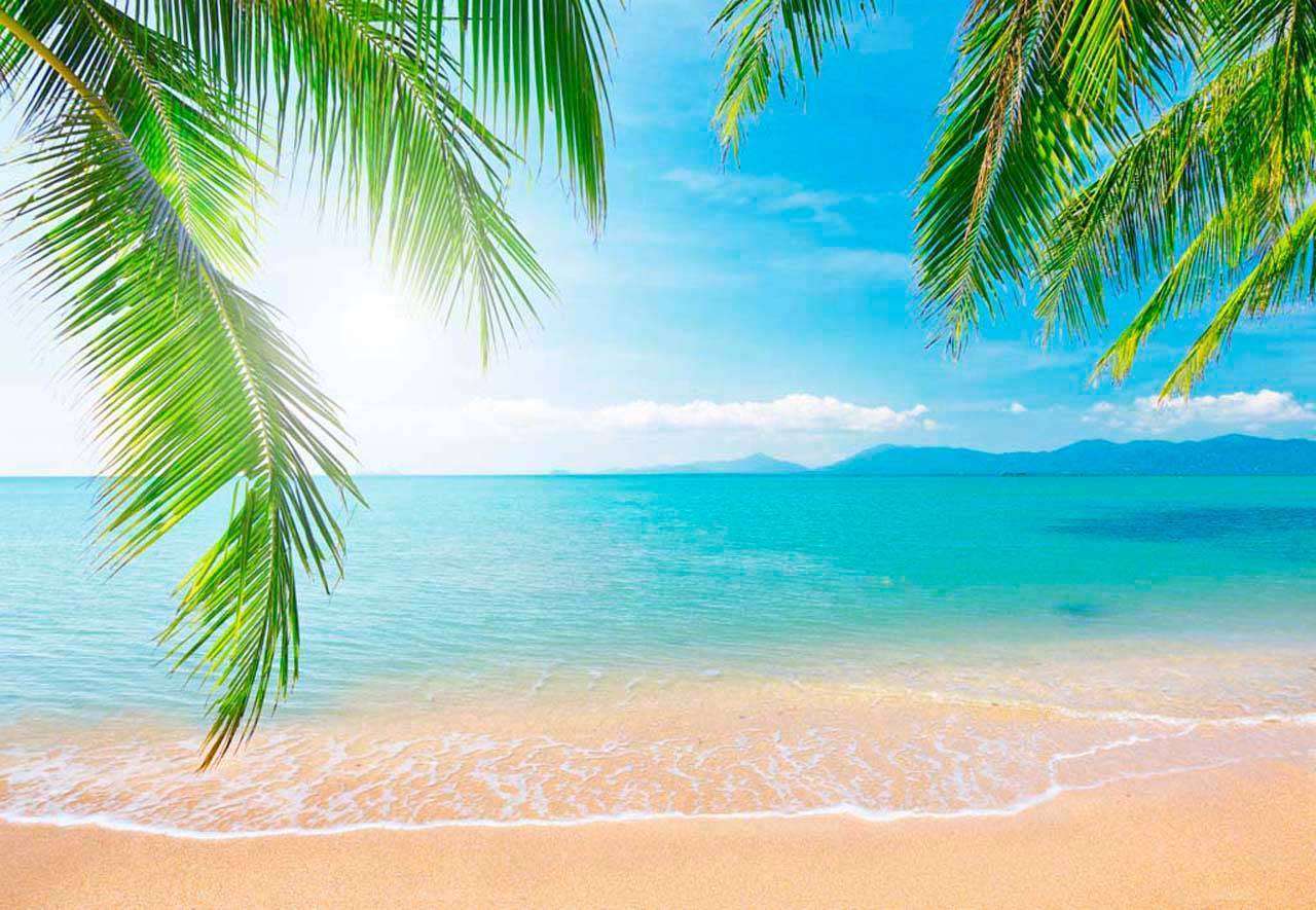 Фотообои в интерьере пляж песчаный  4-343 фото