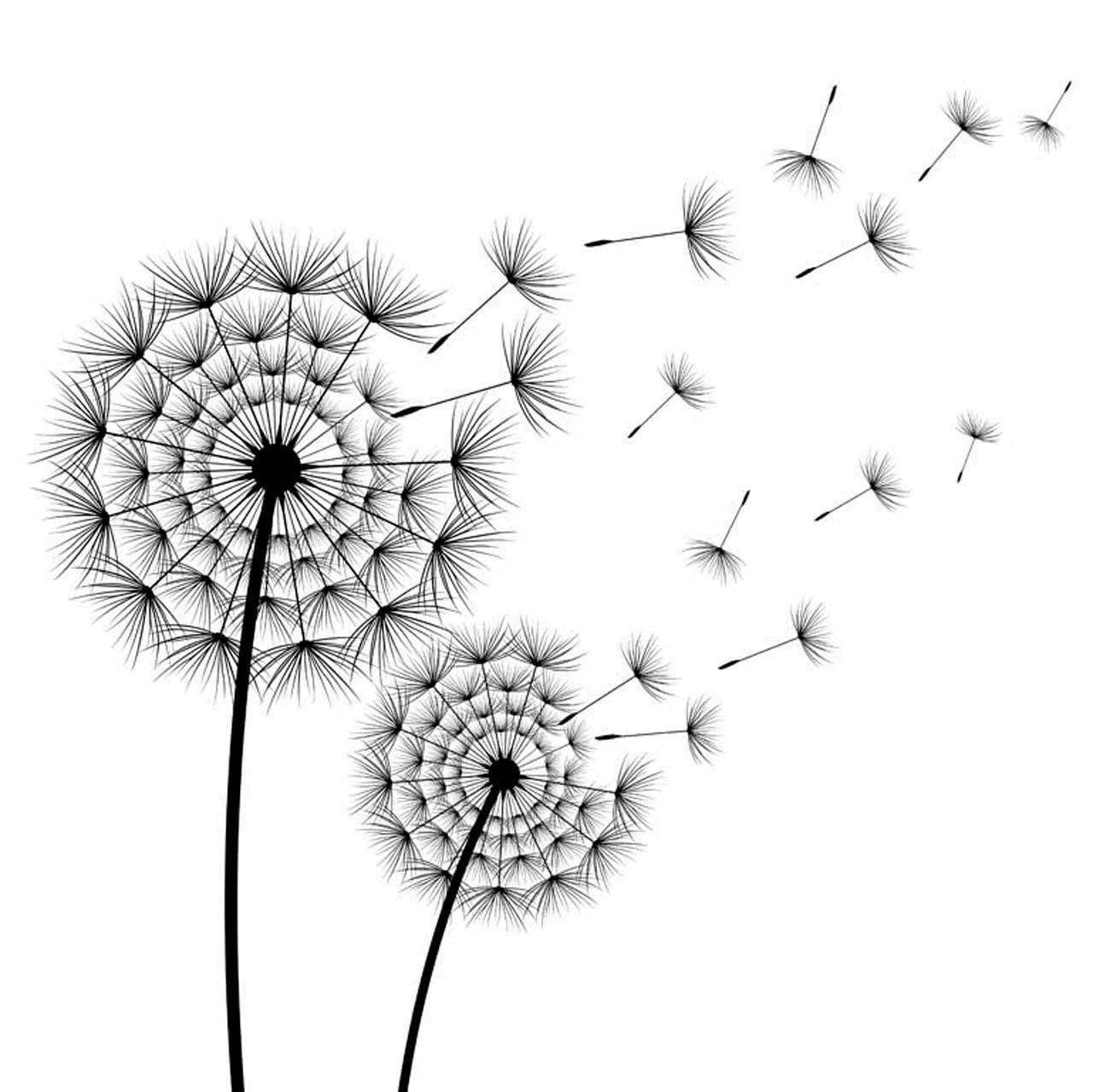 Фотообои в интерьере силуэт черно белого одуванчика  10-084 фото