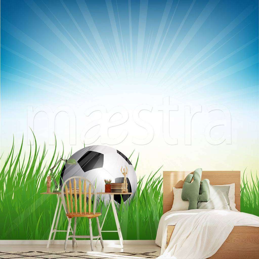 Фотообои в интерьере мяч в траве на солнце  12-551 фото