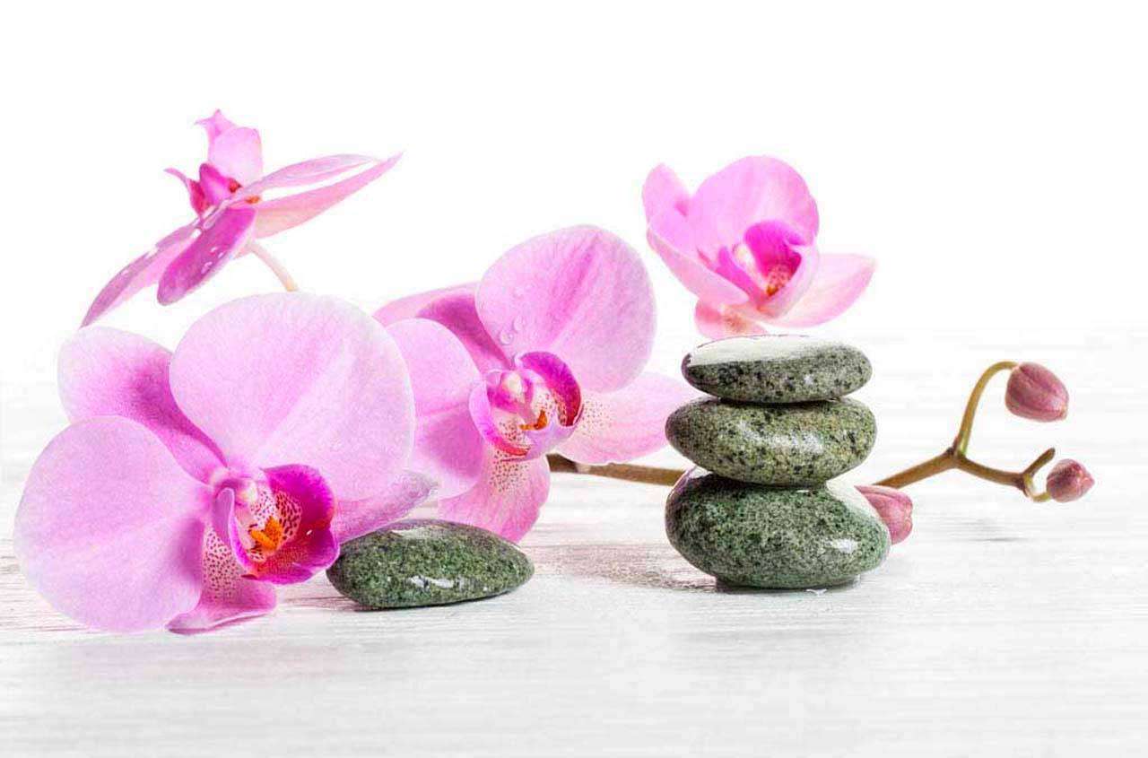 Фотообои в интерьере цветки розовой орхидеи и камни  10-207 фото