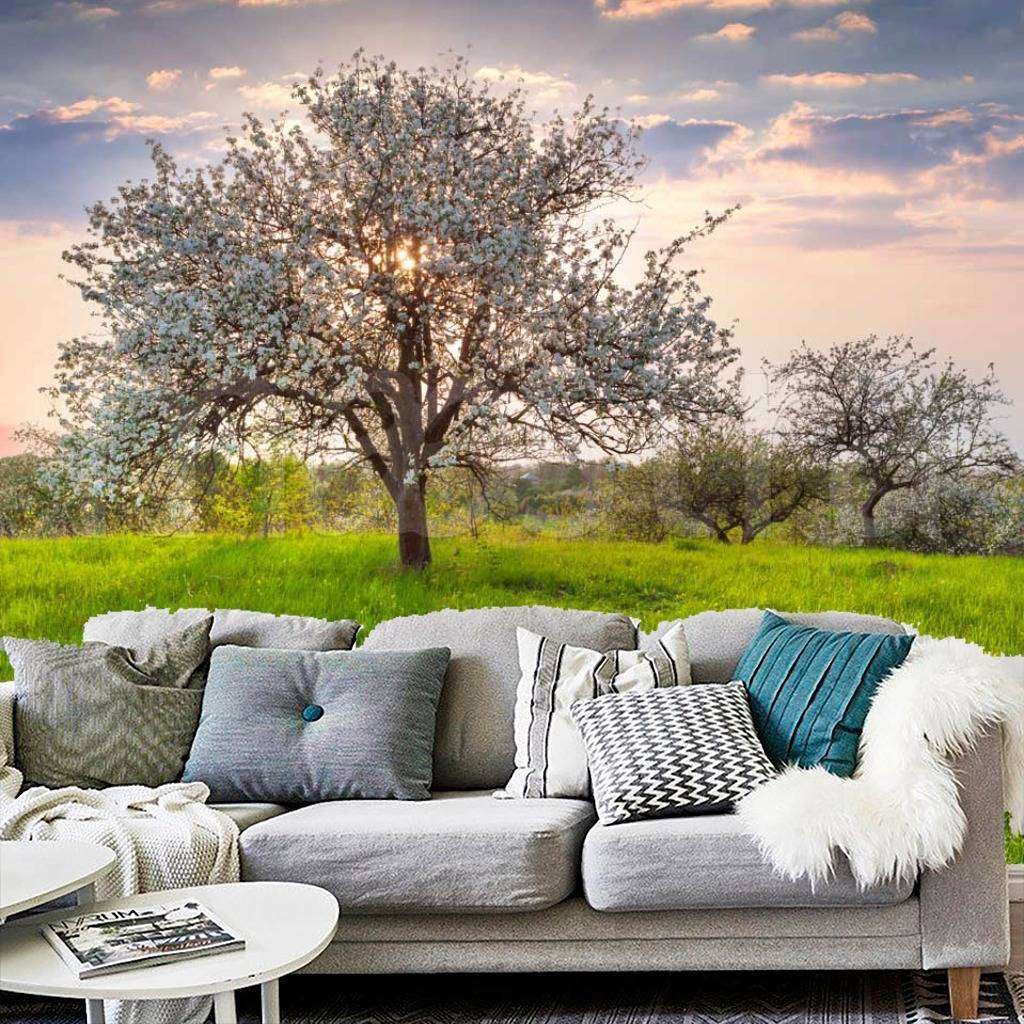 Фотообои Закат в яблоневом саду  10-094