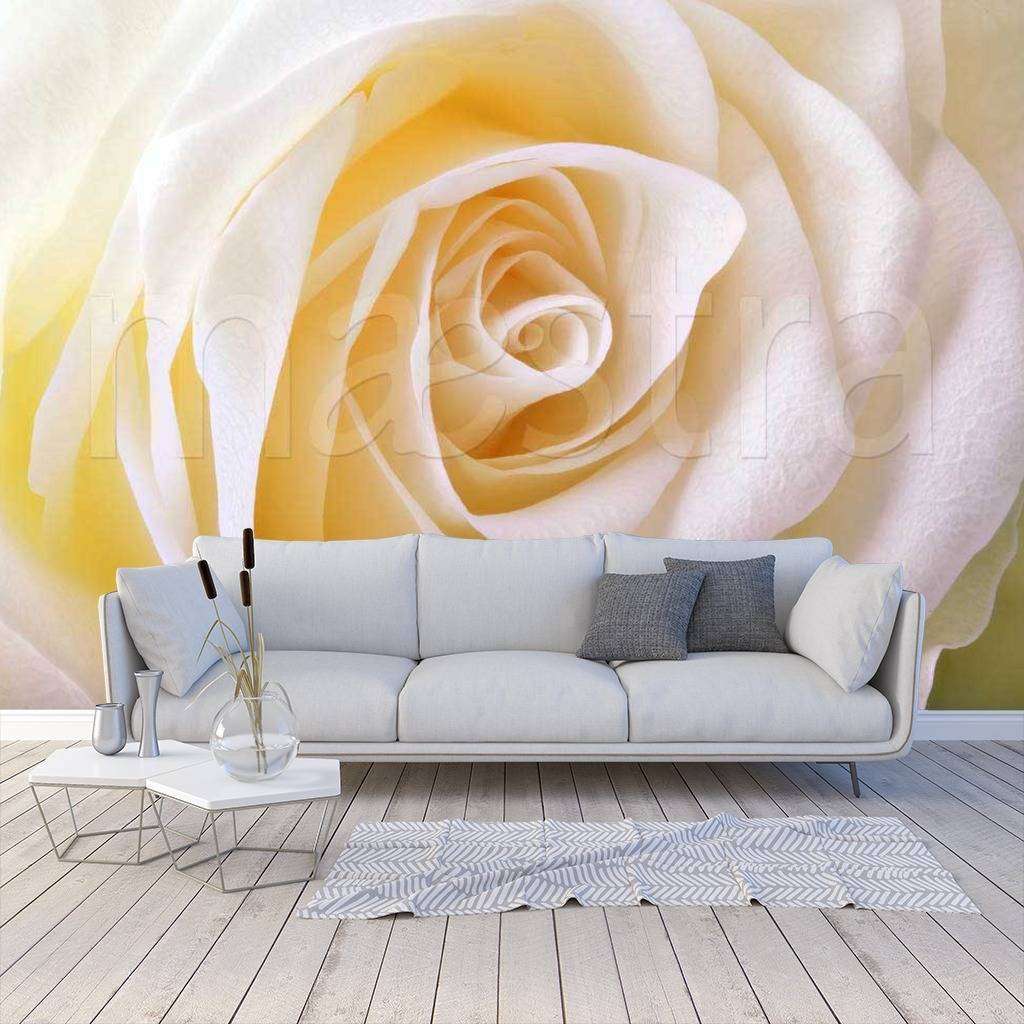 Фотообои Чайная роза роскошная  10-238