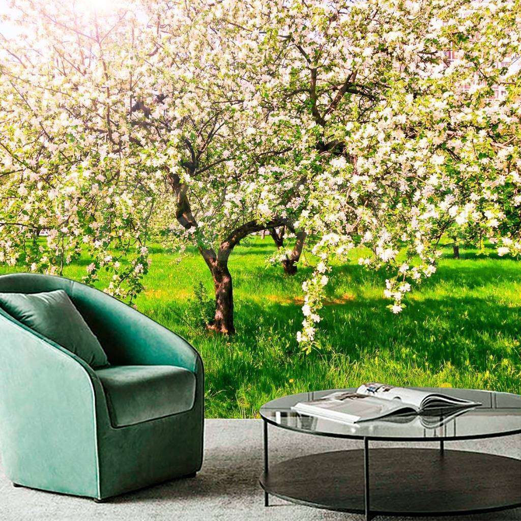 Фотообои Яблони в саду  10-091