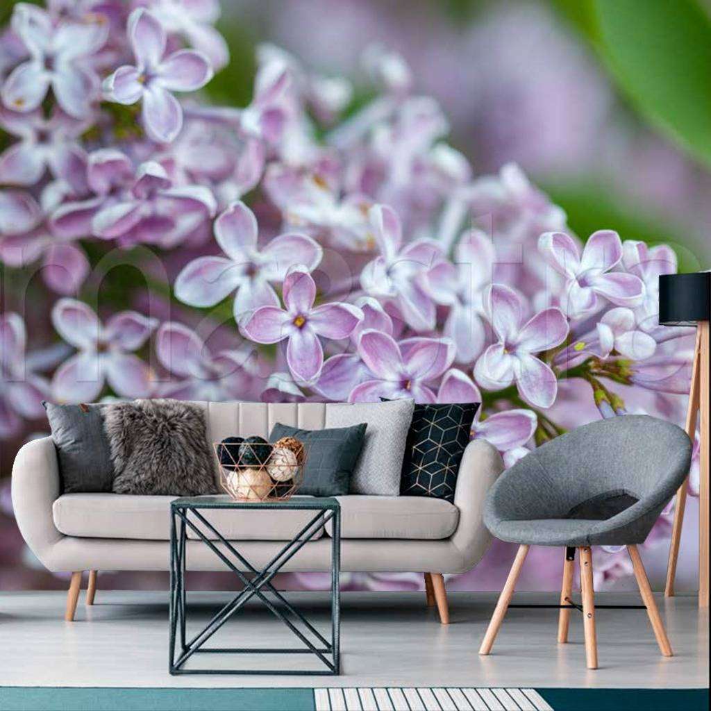 Фотообои Ветка сирени крупным планом  10-045