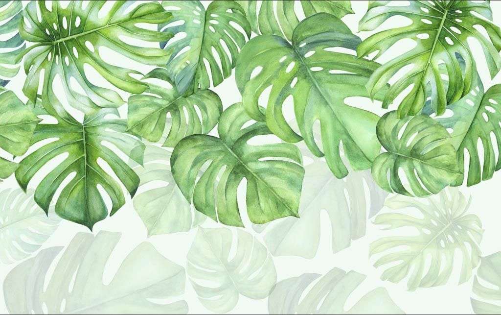 Фотообои в интерьере листья монстеры  9-1667 фото