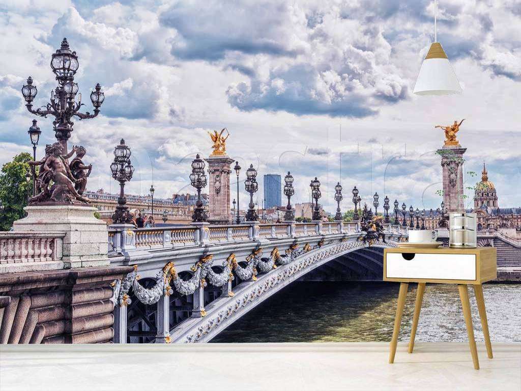 Фотообои в интерьере мост в париже и серое небо  9-769 фото